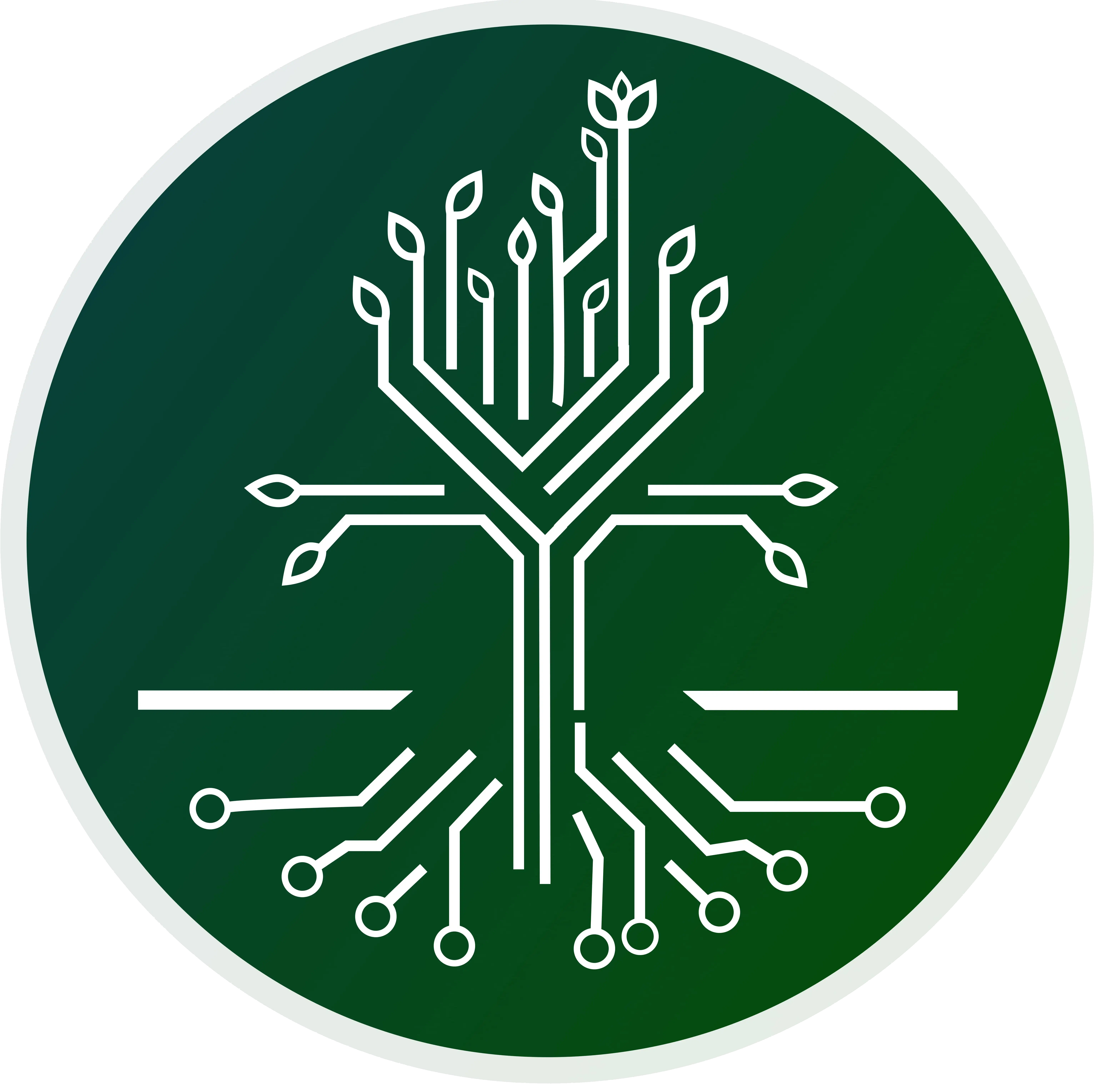 Logo Oiticica Valley